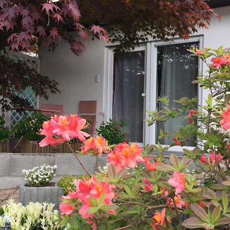Haus Magnolia 2 Lejlighed Kandern Eksteriør billede